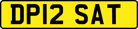 DP12SAT