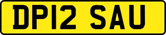 DP12SAU