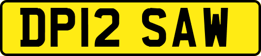 DP12SAW