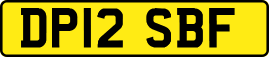 DP12SBF