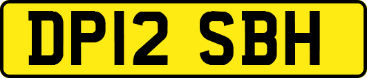 DP12SBH