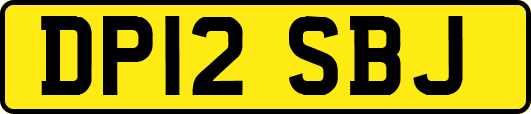 DP12SBJ