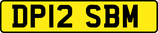 DP12SBM