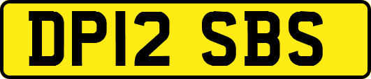 DP12SBS