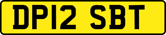DP12SBT
