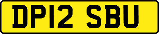 DP12SBU