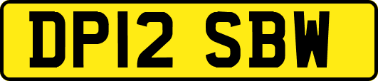 DP12SBW