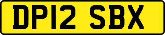 DP12SBX