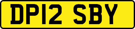 DP12SBY