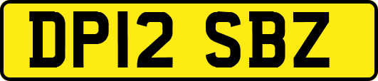 DP12SBZ