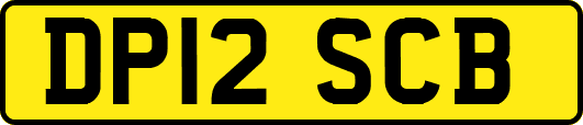 DP12SCB