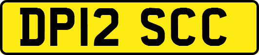 DP12SCC