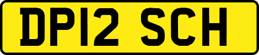 DP12SCH