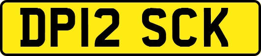DP12SCK