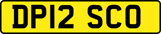 DP12SCO