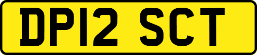 DP12SCT
