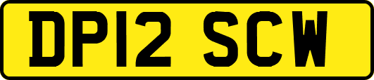 DP12SCW