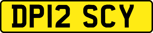 DP12SCY