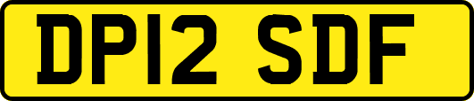 DP12SDF