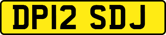 DP12SDJ