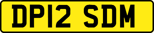 DP12SDM
