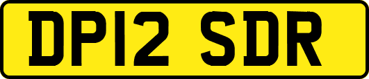 DP12SDR