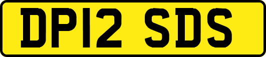 DP12SDS