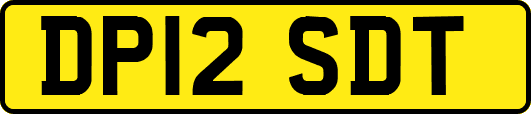 DP12SDT