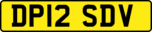 DP12SDV
