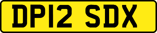 DP12SDX