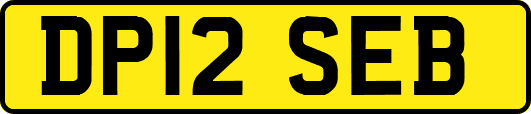 DP12SEB