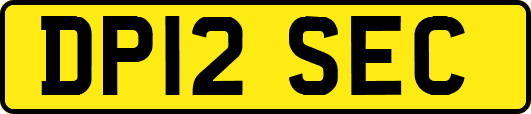 DP12SEC