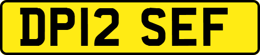 DP12SEF