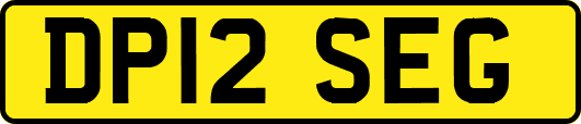 DP12SEG