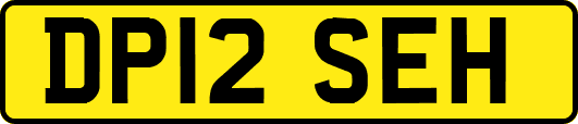 DP12SEH