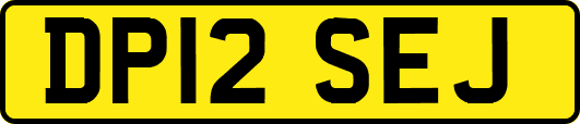 DP12SEJ