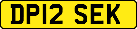 DP12SEK