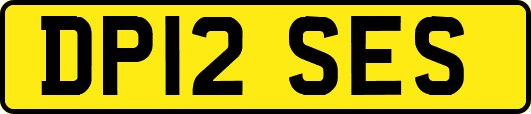 DP12SES