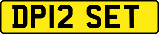 DP12SET