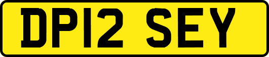 DP12SEY