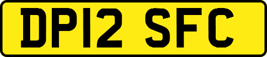 DP12SFC