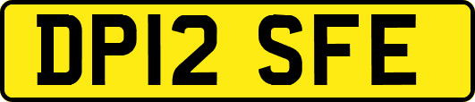 DP12SFE