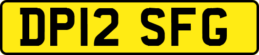 DP12SFG