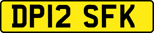 DP12SFK