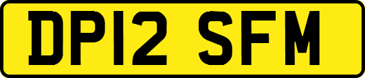 DP12SFM