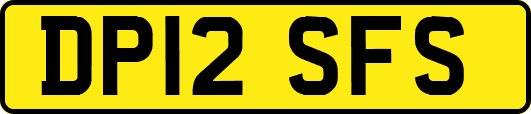 DP12SFS
