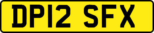 DP12SFX