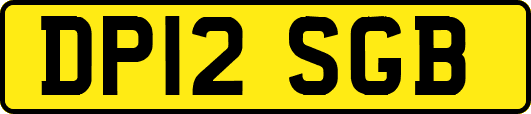 DP12SGB