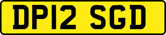 DP12SGD