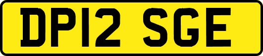 DP12SGE